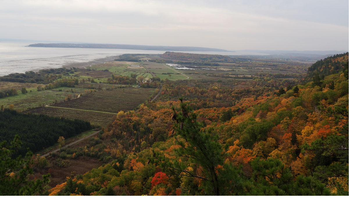 Vue panoramique depuis le belvédère du cap Tourmente sur le fleuve Saint-Laurent et les couleurs d'automne